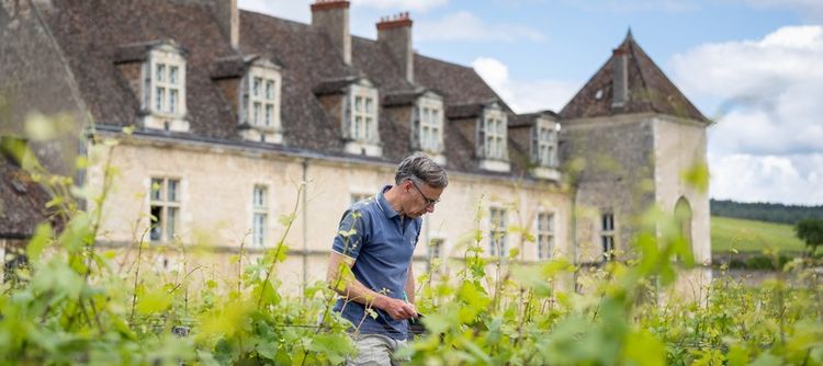 Domaine Méo-Camuzet