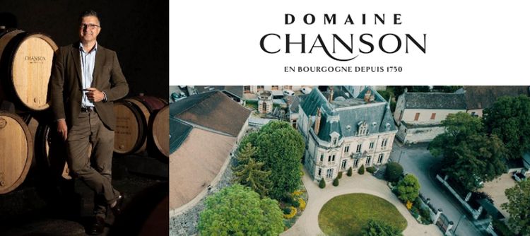 Thierry Berger, nouveau Directeur Général du Domaine Chanson