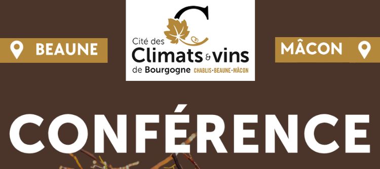 Deux conférences début novembre dans les Cité des Climats de Mâcon et Beaune