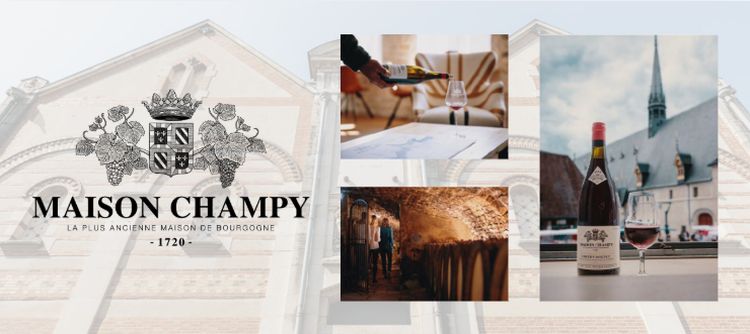 L’œnotourisme par Maison Champy, l’art de vivre à la bourguignonne