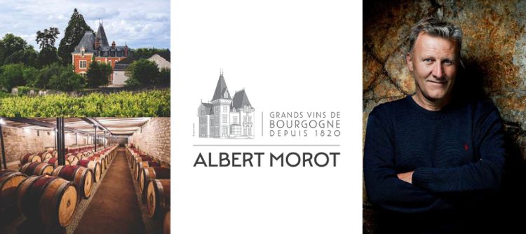 Le Domaine Albert Morot, joyau de la viticulture de Beaune