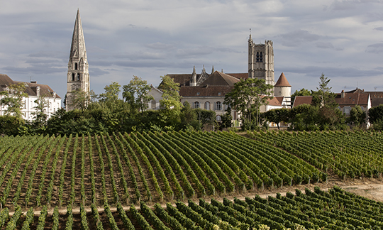  © BIVB / Aurélien Ibanez - Village de l’appellation Bourgogne Côte d'Auxerre : 