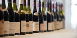 Les mentions obligatoires sur bouteilles de vins de Bourgogne : une question d’étiquette