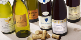 Bourgogne Aligoté, Mâcon Villages, Crémant de Bourgogne