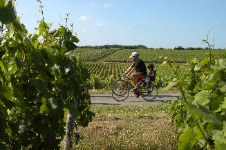 Itinéraire - Route des vins du Mâconnais-Beaujolais en Bourgogne
