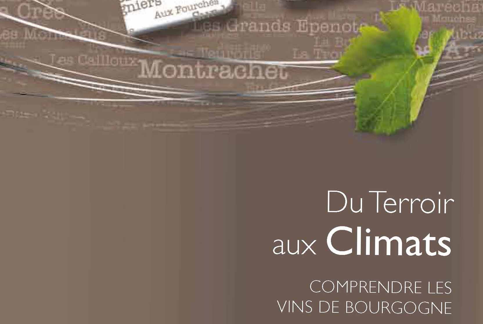 Du Terroir aux Climats vins de bourgogne