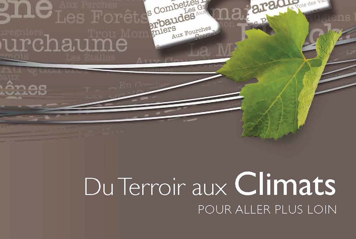 Terroirs et Climats des vins de bourgogne