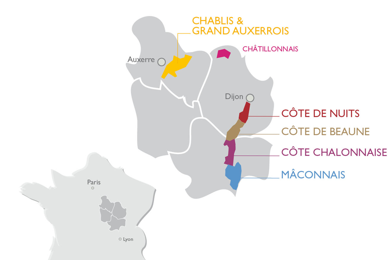 region bourgogne vignobles