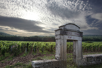 Les parcours thématiques des Climats de Bourgogne