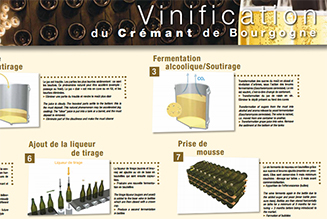 Poster Vinification des crémant de Bourgogne