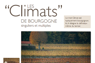 Poster les climats de Bourgogne en automne