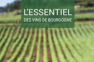 L'essentiel des vins de Bourgogne
