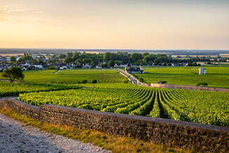 Itinéraire - Route des vins en Côte de Nuits en Bourgogne
