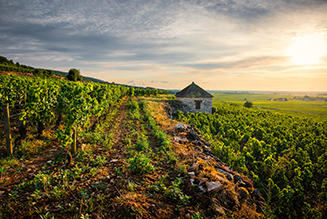Itinéraire - Route des vins en Côte de Beaune en Bourgogne