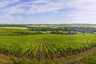 Itinéraire - Route des vins Chablis et Grand Auxerrois  en Bourgogne