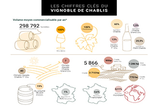 Les chiffres clés du vignoble de Chablis en Bourgogne