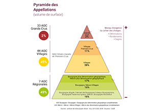 Pyramide sur le niveau d'aoc en surface en Bourgogne