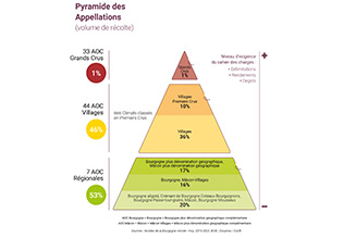 Pyramide sur le niveau d'aoc en volume en Bourgogne