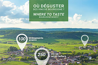 Où déguster des vins de Bourgogne ?