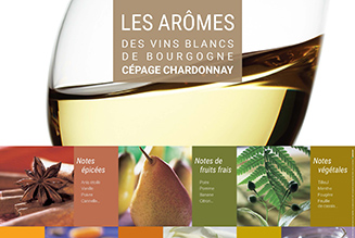 Poster - Arômes Chardonnay