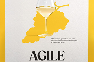 Bourgogne - Agile