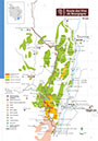 Route des vins du Mâconnais-Beaujolais