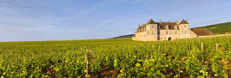 Vue du vignoble de Clos de Vougeot en Bourgogne
