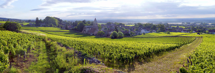 Vue du vignoble de Fixin en Bourgogne