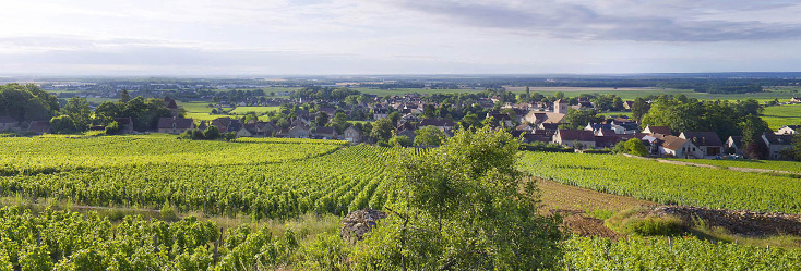 Vue du vignoble de Gevrey-Chambertin en Bourgogne