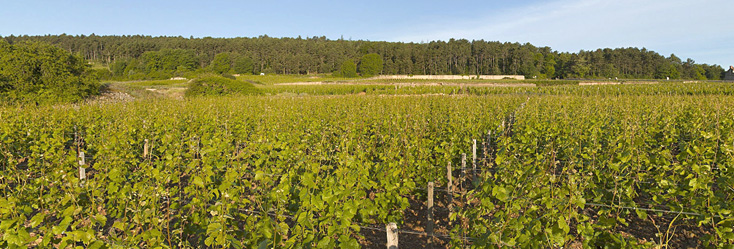 Mazoyères-Chambertin