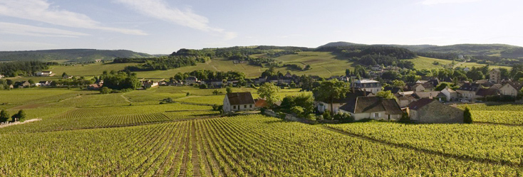 Vue du vignoble de Mercurey 1er Cru Clos des Barraults en Bourgogne