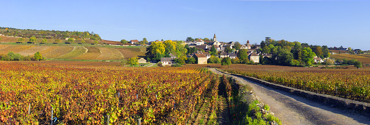 Vue du vignoble de Monthélie en Bourgogne
