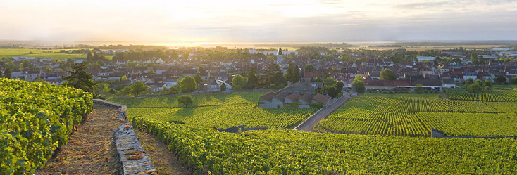 Vue du vignoble de Nuits-Saint-Georges en Bourgogne