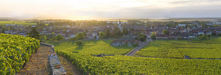 Nuits-Saint-Georges - Vins de Bourgogne