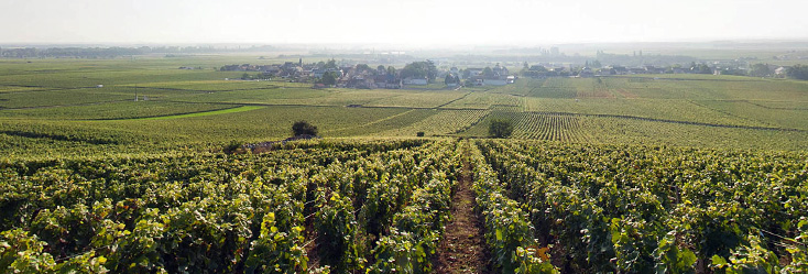 Vosne-Romanée