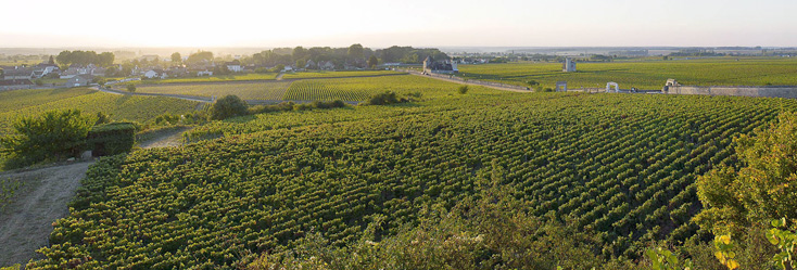 Vue du vignoble de Vougeot en Bourgogne
