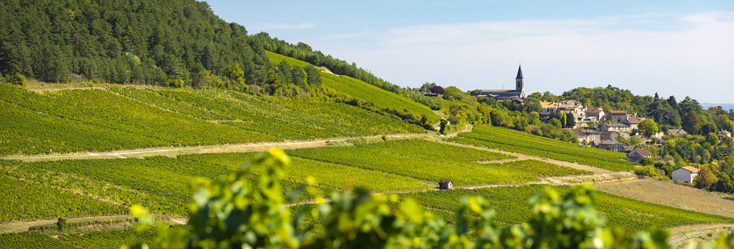 Mâcon-La Roche-Vineuse 