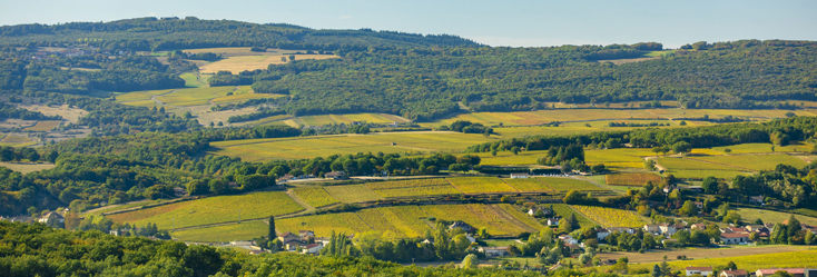 Mâcon-Lugny Mâcon-Lugny