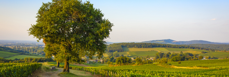 Mâcon followed by the name of the Village