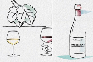 Comment lire les étiquettes sur une bouteille de vin de Bourgogne