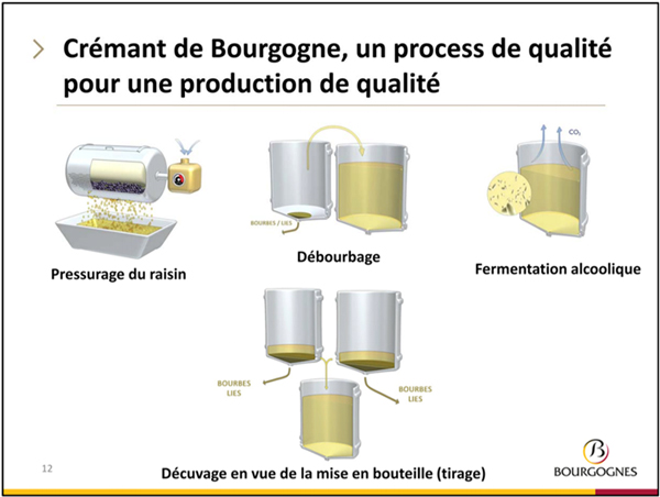 Schéma Crémant de Bourgogne