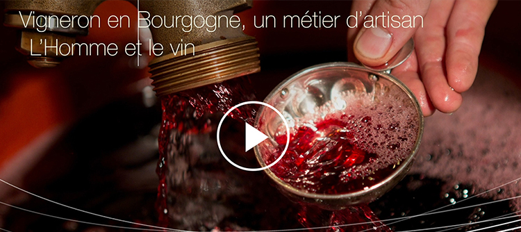 La dernière vidéo des vins de Bourgogne l'homme et le vin 