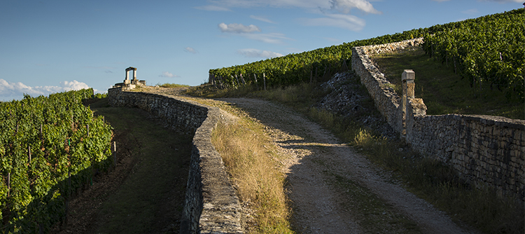 Les Bourgogne toujours avec vous !