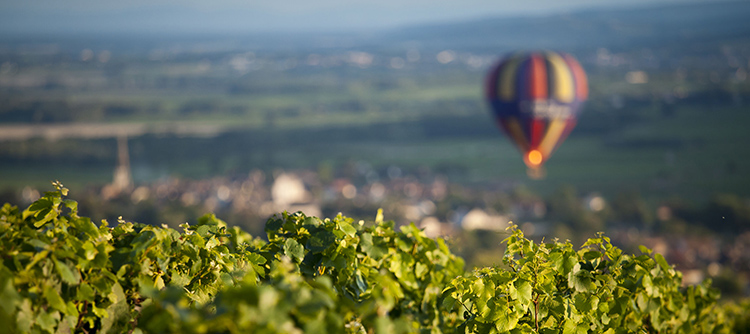 Cet été, visitez la Bourgogne !