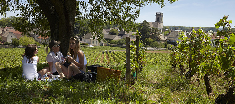 Votre été en Bourgogne