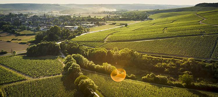Comprendre les Climats de Bourgogne n'a jamais été aussi simple