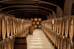 Cave à futs de Bourgogne 