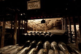 Cave de vieux millésime de Bourgogne 