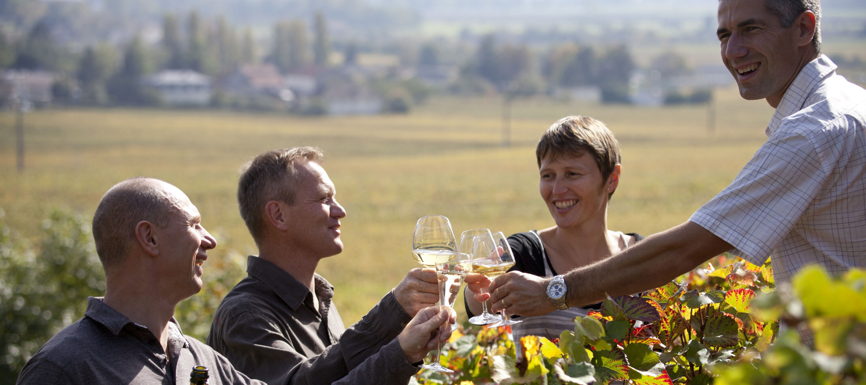 Vignobles & Découvertes