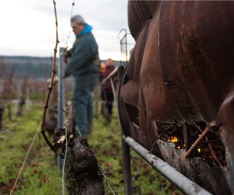 Vignerons & Savoir-faire